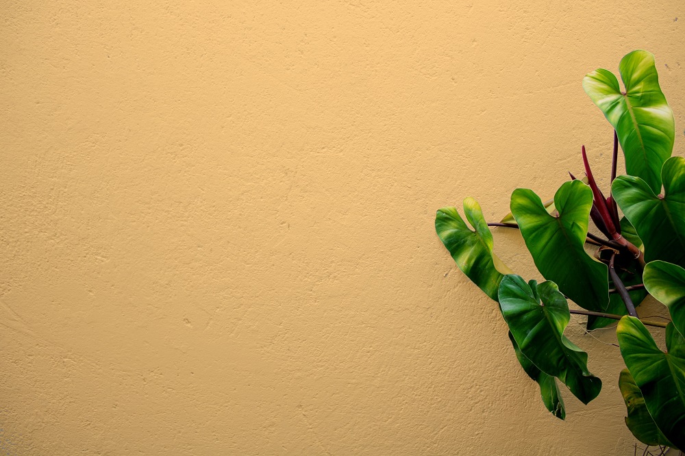 All You Should Know About Wall Insulation