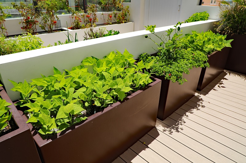 All You Need To Know About The Importance Of Planter Boxes