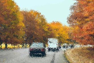 21 Best Places to See Fall Foliage in the United States