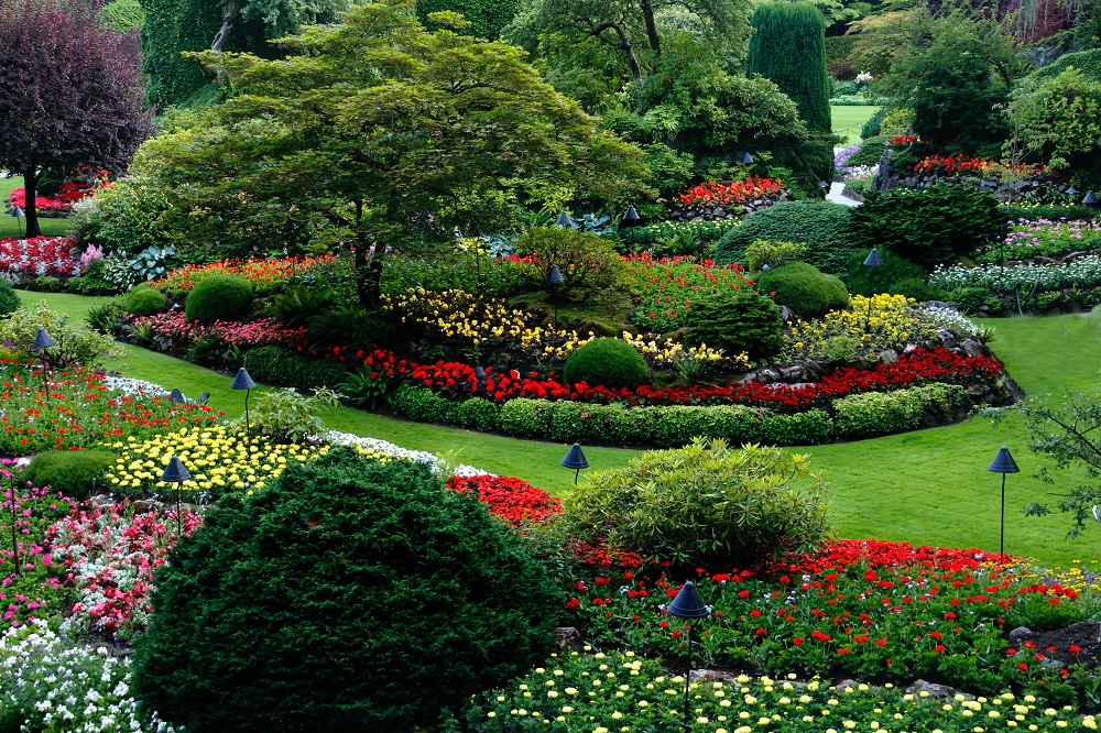 All You Need To Know About The Importance Of Landscaping