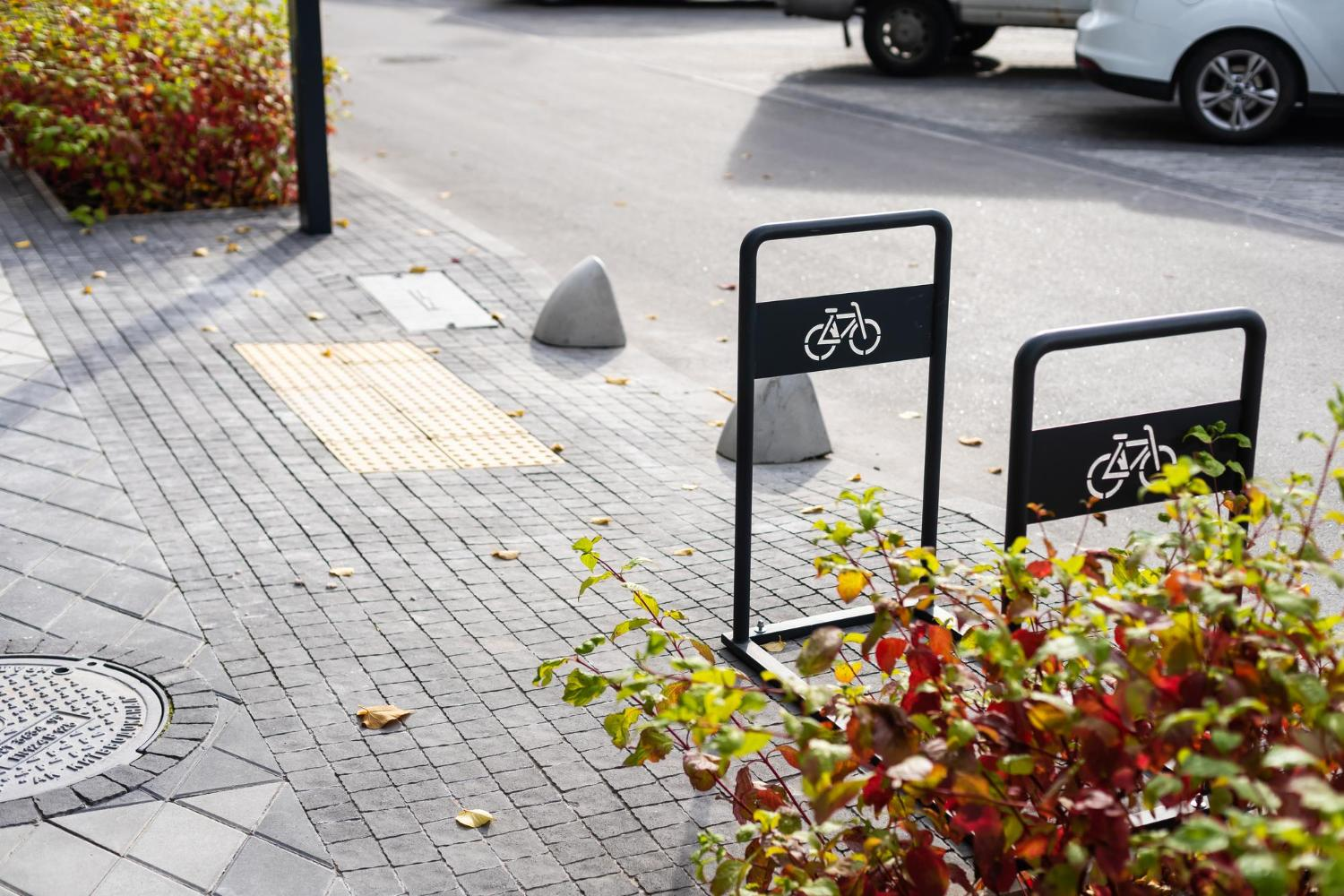 How To Reduce Your Company’s Carbon Footprint