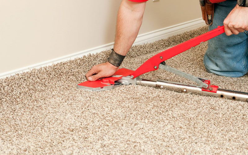 5 Reasons You Need Carpet Cleaning London