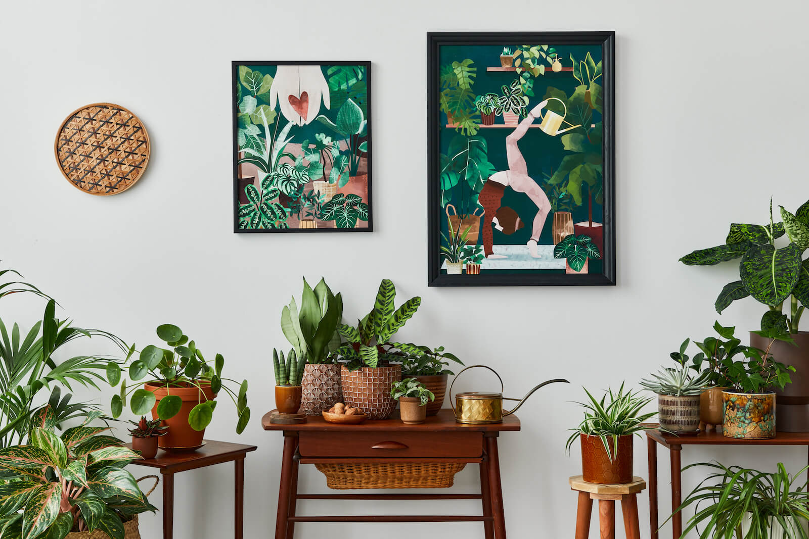Buy Indoor Plants Online to Add Beauty to Your House