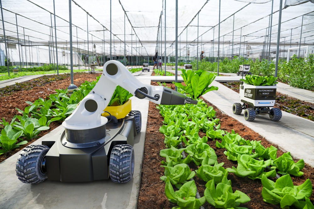 Why The Maintenance Of Agricultural Crops Is Essential?