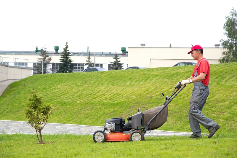 Key Points To Consider Before Buying Lawn Mowers For Garden