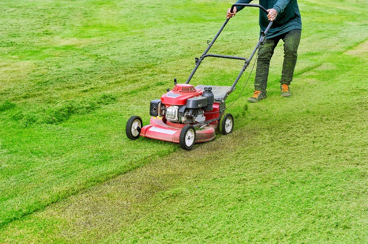 Best Lawn Mower Reviews 2018 Top Picks