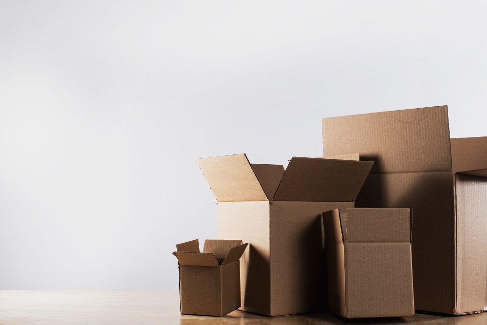 Die-Cut Boxes