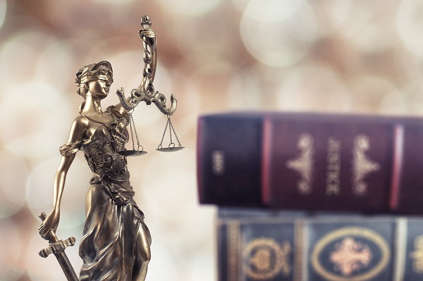 Decoding the Roles and Requisites of Expert Defence Lawyers