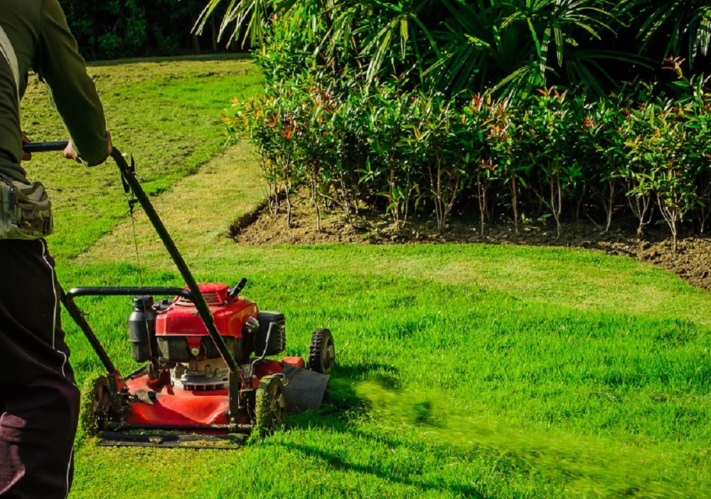 Things To Consider While You Choose A Lawn Mower