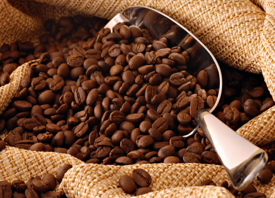 Bean to Brew: Finding the Perfect Coffee Supplier for Your Caffeine Fix