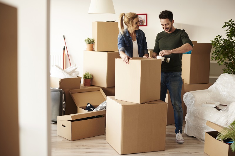 Professional Removalists 