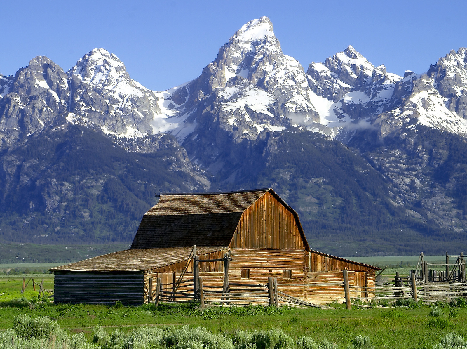 8 Amazing Things You Never Knew About Jackson Hole