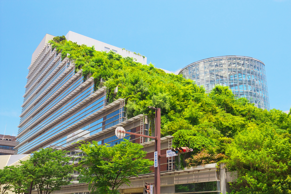 All You Need To Know About Green Architectural Roofing