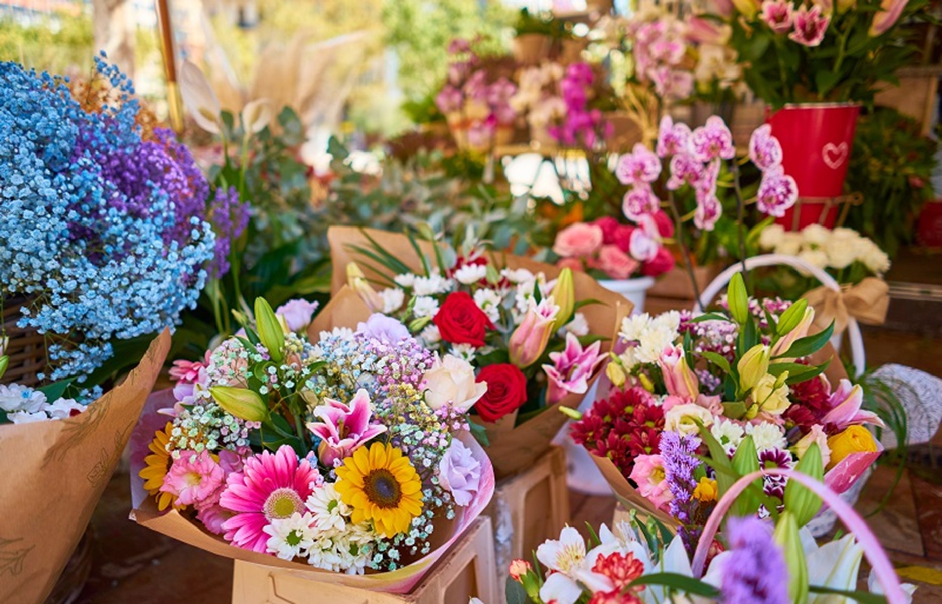 Blossoms and Challenges: Delving into the World of Florist Delivery