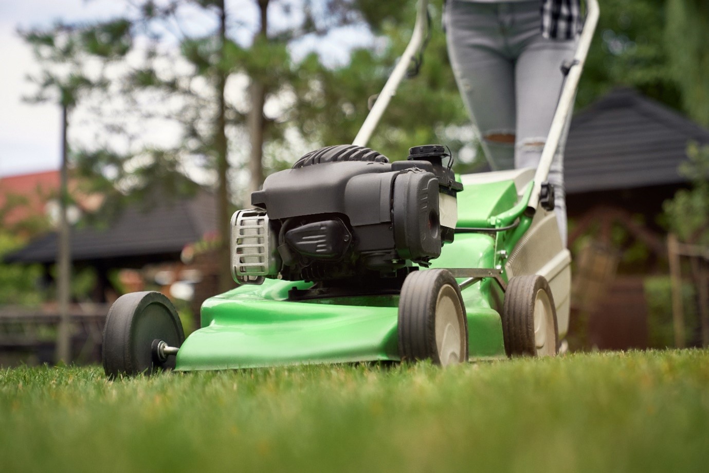 Choosing the Right Mower: A Comprehensive Guide to Lawn Mowing Machines