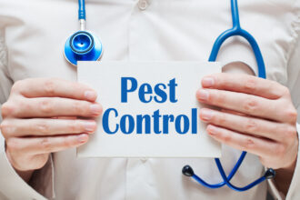 The Vitality of Pest Control: Protecting Your Pets and Children