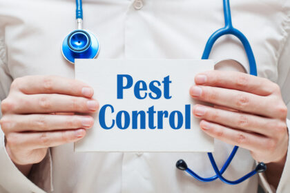 The Vitality of Pest Control: Protecting Your Pets and Children