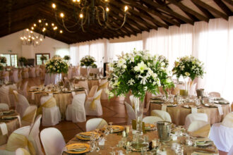 Unveiling the Perfect Wedding Venues: From Budget to Luxury Options