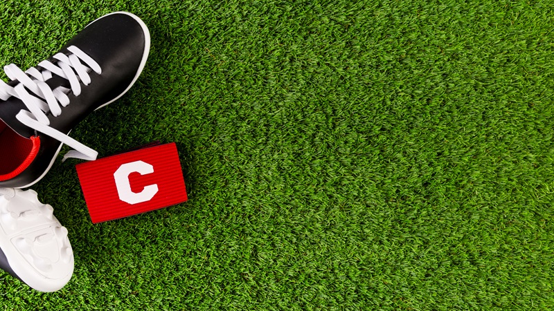 Building Breathtaking Waterless Landscapes with Synthetic Grass for Backyards
