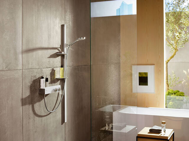 Shower Rails