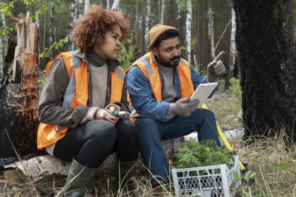 The Pivotal Role Of Wetland Investigation In Boosting Biodiversity