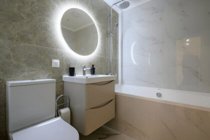 Why Every Modern Home Should Have a Mirrored Shaving Cabinets
