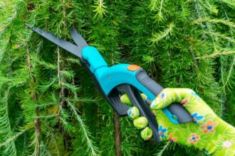 Unearthing the Art and Science Behind Effective Tree Pruning