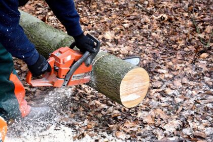 Ultimate Checklist For Chainsaw Accessories