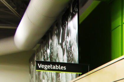 Everything You Must Know About the Display Refrigerator