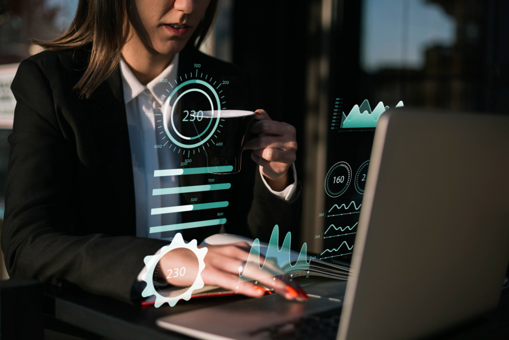 ERP System Validation Services