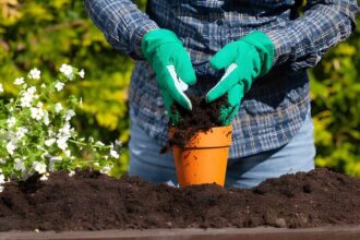 How Compost Bulka Bags Delivery Melbourne Help Your Garden Survive Summer Heatwaves