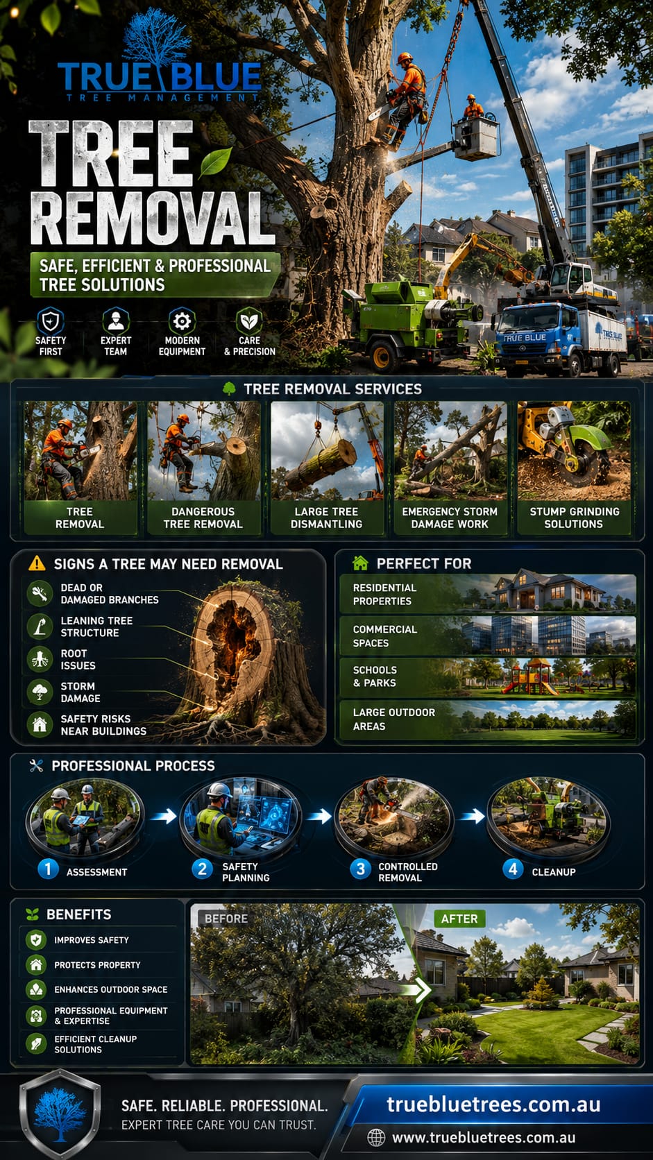 Tree Removal