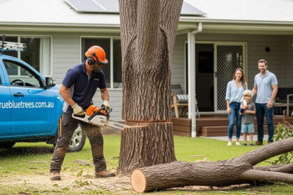 Tree Root Removal Techniques You Didn’t Know About