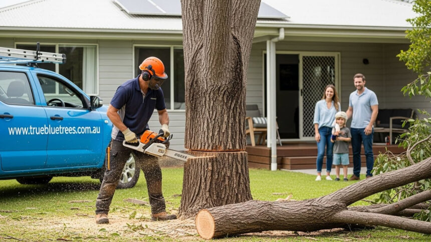 Tree Root Removal Techniques You Didn’t Know About