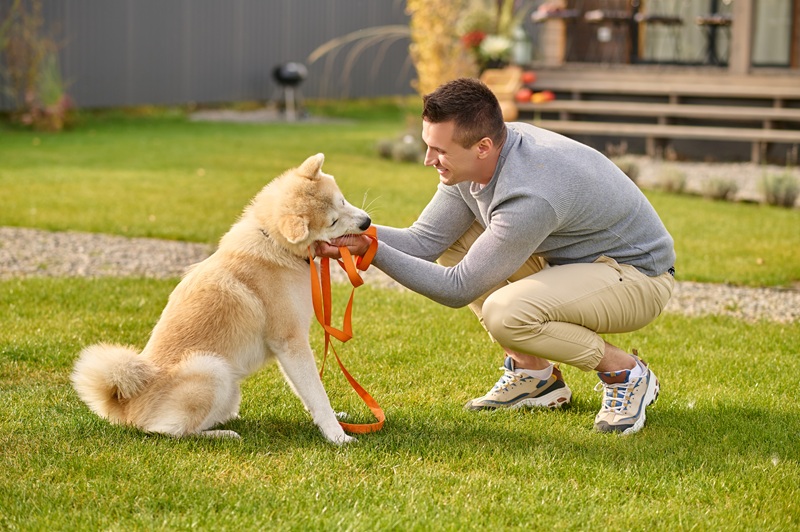 Why Dog Training Courses Melbourne Are the Key to Raising a Well-Behaved Dog