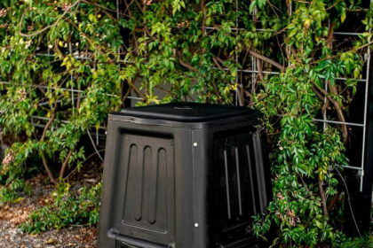 Compost Bin: How To Maximize Decomposition Speed While Cutting Costs